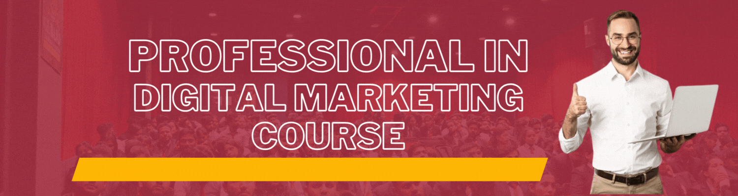 Professional in Digital Marketing Course
