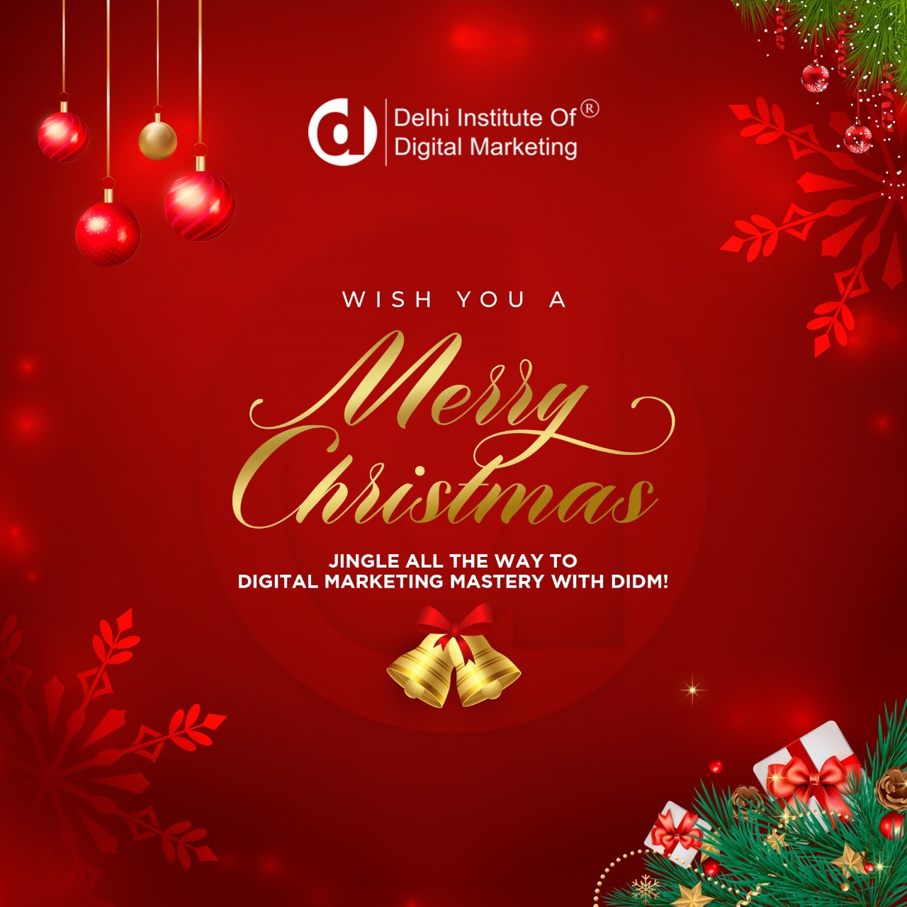 Merry Christmas from the DIDM Family!