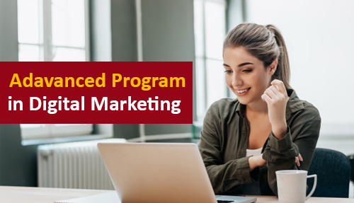 Advanced in Digital Marketing Course in DIDM 